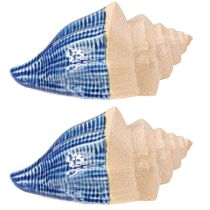 Itens Decoração de conchas Cerâmica marítima Azul Bege 16,5×11×9,5cm 2 peças