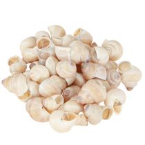 Mexilhão Umachi 500g