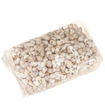 Itens Mexilhão Umachi 500g