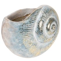 Itens Vaso decorativo em formato de caracol para decoração de parede com temas marítimos e naturais, cinza, 21 cm