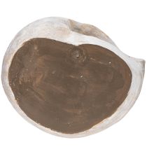 Itens Vaso decorativo em formato de caracol para decoração de parede com temas marítimos e naturais, cinza, 21 cm