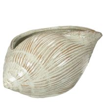 Itens Tigela de cerâmica com design de concha para decoração elegante na sala de estar, 23 cm