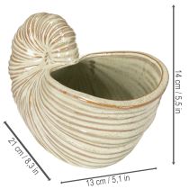 Itens Vaso de cerâmica com desenho de caracol para arranjos de plantas especiais, 21 cm