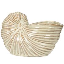 Itens Vaso de cerâmica com desenho de caracol para arranjos de plantas especiais, 21 cm