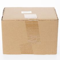 Itens Vaso de cerâmica com desenho de caracol para arranjos de plantas especiais, 21 cm