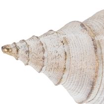 Itens Formato de concha decorativa para decoração marítima elegante, 44 cm