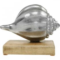 Itens Concha em metal, decoração marítima para colocar prata, cores naturais A15cm L18,5cm