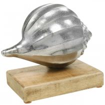 Itens Concha em metal, decoração marítima para colocar prata, cores naturais A15cm L18,5cm