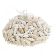 Itens Caracóis Deco branco, caracol do mar decoração natural 2-5cm 1kg