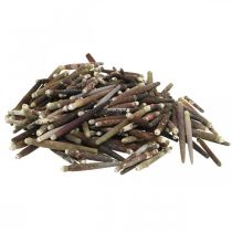 Itens Conchas decorativas Espinhos de ouriço-do-mar, espinhos de ouriço-do-mar, decoração marítima L3–8cm 450g
