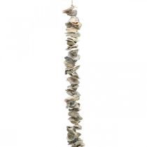 Itens Guirlanda com conchas, decoração marítima, verão, colar de conchas cores naturais C130cm