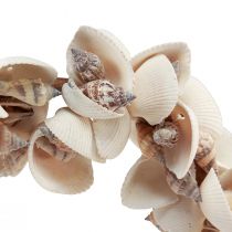 Itens Guirlanda de conchas decoração de conchas decoração marítima Ø33cm 60cm