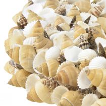 Itens Coroa de conchas conchas caracóis do mar branco natural Ø35cm