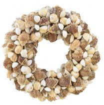 Itens Coroa de conchas de caracol para pendurar coco natural Ø25cm