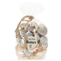 Itens Caracóis e conchas - Detalhes decorativos marítimos para embelezar o seu espaço de forma única - 500g