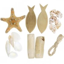 Caixa DIY marítima, conchas naturais, decoração em madeira, 8 peças sortidas