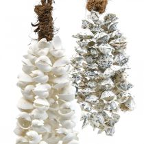 Colar de conchas com pingente de conchas deco marítimo 2 peças