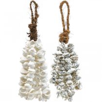 Colar de conchas com pingente de conchas deco marítimo 2 peças