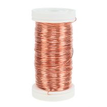 Itens Fio de murta 0,30mm 100g cobre