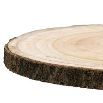 Itens Fatia de árvore campânula natural Ø30-35cm 1ud