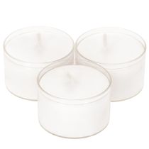 Itens Luzes noturnas tipo tealight brancas em bandeja de plástico, 8 horas de duração, 50 unidades.