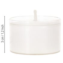 Itens Luzes noturnas tipo tealight brancas em bandeja de plástico, 8 horas de duração, 50 unidades.