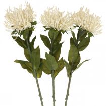 Pincushion flores artificiais exóticas protea leucospermum creme 73 cm 3 unidades