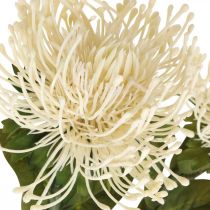 Itens Almofada de alfinetes flores artificiais exóticas Protea Leucospermum creme 73cm 3 unidades