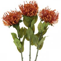 Itens Alfineteiro Exótico Flor Artificial Laranja Leucospermum Protea 73 cm 3 unidades