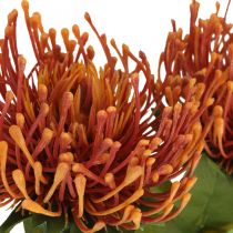Itens Alfineteiro Exótico Flor Artificial Laranja Leucospermum Protea 73 cm 3 unidades