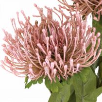 Itens Almofada de alfinetes flor de outono artificial Protea Rosa Leucospermum 73cm 3pcs