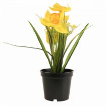Narciso em vaso flor artificial amarela narciso Alt. 21cm