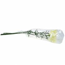 Itens Cravo artificial branco 6 unidades