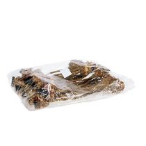 Itens Broto Nerifolia 25 unidades