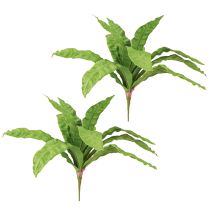 Itens Plantas artificiais de samambaia ninho em verde 5,5×22cm 2 unidades