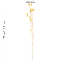 Itens Arranjo de flores secas Nigella para uso prolongado. Peça decorativa elegante. 70cm 50g