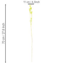 Itens Flores de Nigella secas, charmosa decoração natural para a casa, 70cm, 50g