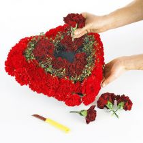 Itens Coração OASIS® Biolit® grande 34 cm 2 unid.