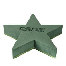 Itens Estrela de espuma floral molhada para arranjos 25 x 25 x 4,5 cm