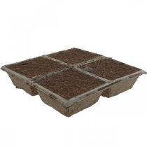 OASIS® TerraBrick™ plug-in composto compostável 8pcs