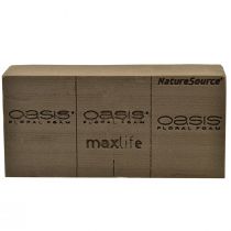 Itens Oasis NatureSource Maxlife Tijolo de espuma floral marrom 23×11×7,5cm 1 un.