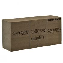 Itens Oasis NatureSource Maxlife Tijolo de espuma floral marrom 23×11×7,5cm 1 un.