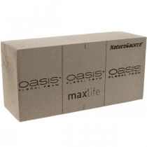 OASIS® BIOLIT® NatureSource espuma floral de tijolo 23cm×11cm×7cm 10 peças