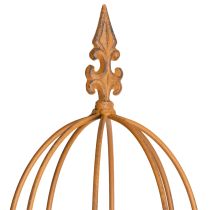 Itens Treliça de jardim, suporte para roseiras e outras plantas trepadeiras, ideal para o design do jardim, 108 cm, conjunto de 2.