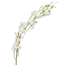 Orquídea Mokara Branco 92cm 3pcs