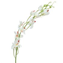 Itens Orquídea Mokara Branco 92cm 3pcs