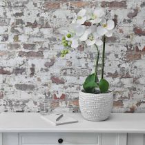 Orquídea Branca em bulbo de 65cm
