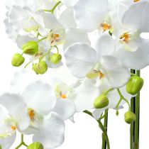 Orquídea branca com globo 110cm