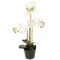 Itens Orquídea artificial em vaso para um ambiente harmonioso, branca, 60cm