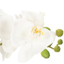 Itens Orquídea artificial em vaso para um ambiente harmonioso, branca, 60cm